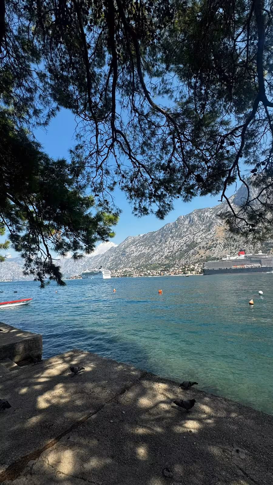 Montenegro Kotor transfer